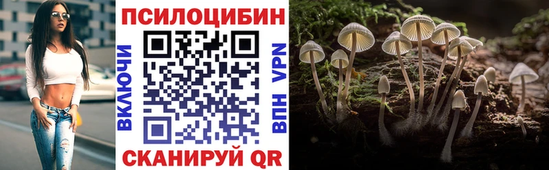 магазин продажи   Гаврилов Посад  Галлюциногенные грибы прущие грибы 